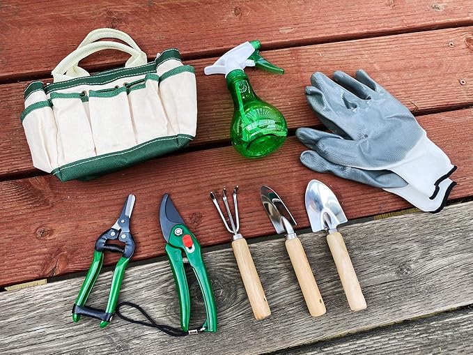 RyKing Small Garden Tool Set, 8 Piece Gardening Balcony Mini Kit Bag, Trowel Transplanter Hand Rake Pruner Snips Shovel Gloves Watering Spray, Stainless Steel Wooden Handles, Gift for Woman Men Kids