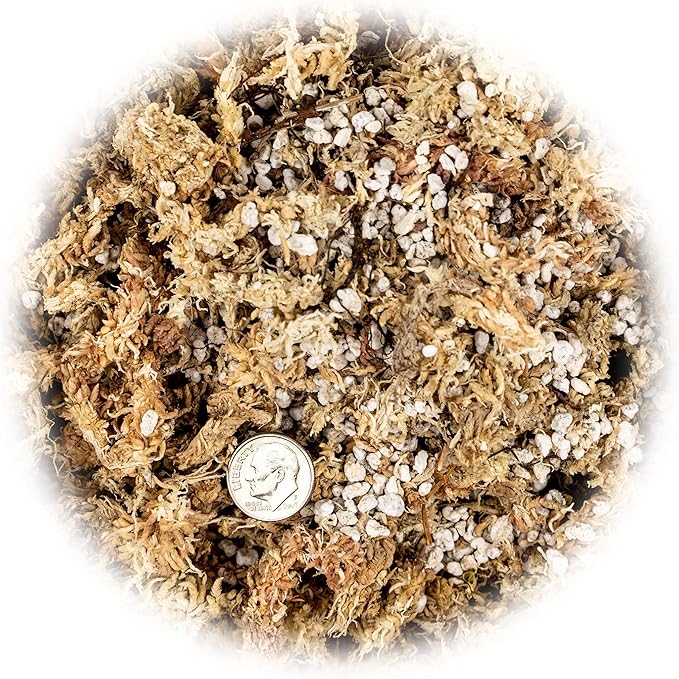 Sphagnum Moss Potting Mix for Carnivorous Plants - 10 Quart - Moss and Perlite Blend for Potting Venus Fly Traps, Sarracenia, Pitcher Plants (2 Bags of 5QT)