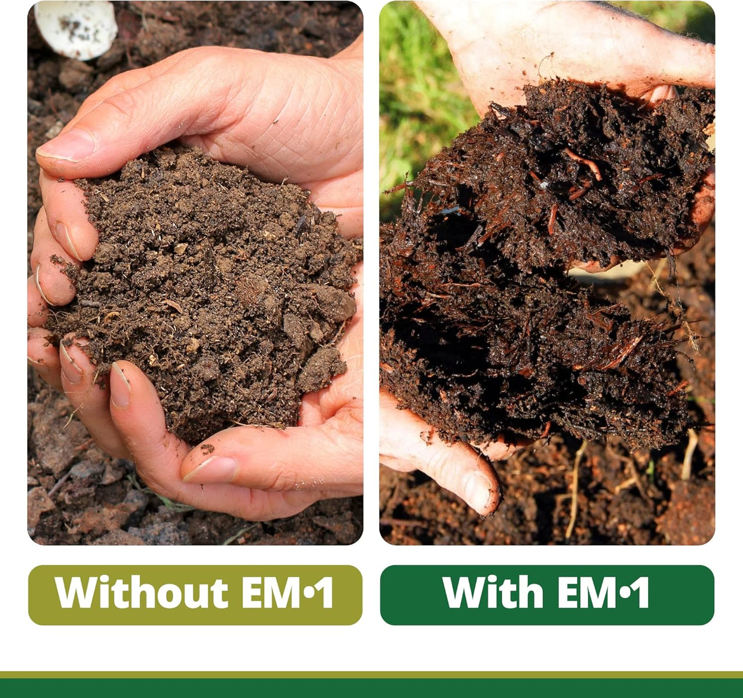 TeraGanix Compost Accelerator (1 Bottle = 11 Gallons), Reduce Odors, Liquid Compost Starter Concentrate, Reduce Composting Time, USDA Organic, 1 Pint (16 fl oz)