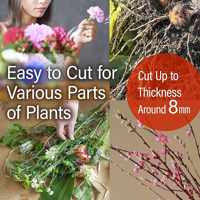 YAMASAN KYOTO UJI Japanese Suiryu Bonsai Scissors - Traditional Hasami Pruning Shears, Japanese Bonsai Garden Tools, Made in Japan (7.87inch)