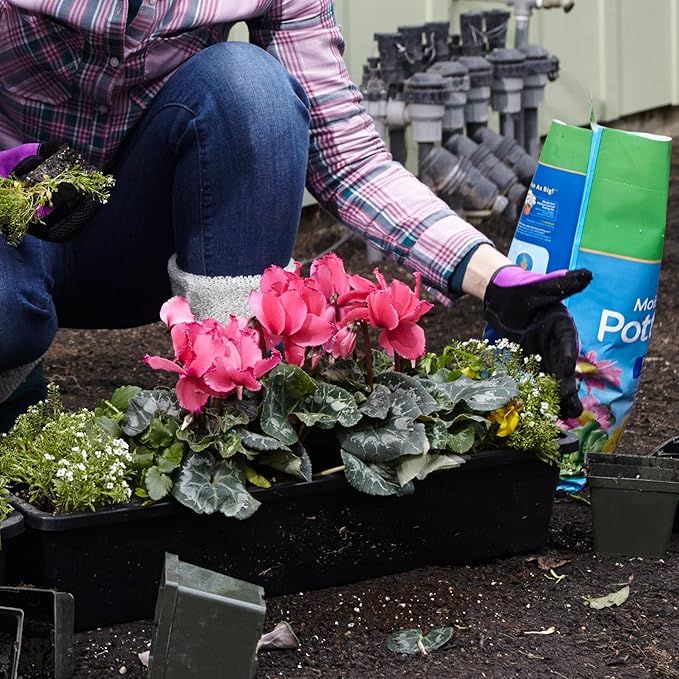 Miracle-Gro Moisture Control Potting Mix 6 qt.