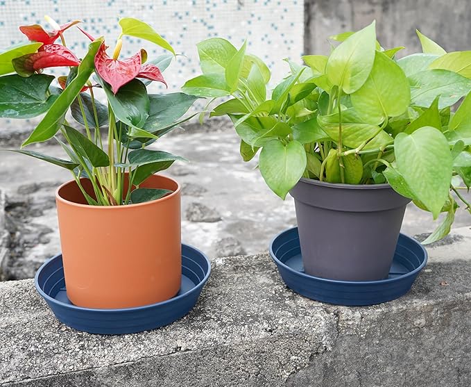 Plant Saucer 8 Inch 4 Pack 6 8 10 12 14 16 18 20 25, Plastic Plant Trays for Pots，Extra-Deep Plant Water Dray Tray, Bird Bath Bowl, Heavy Flower Plant saucers Indoors and Outdoor No Holes 8in-4 blue