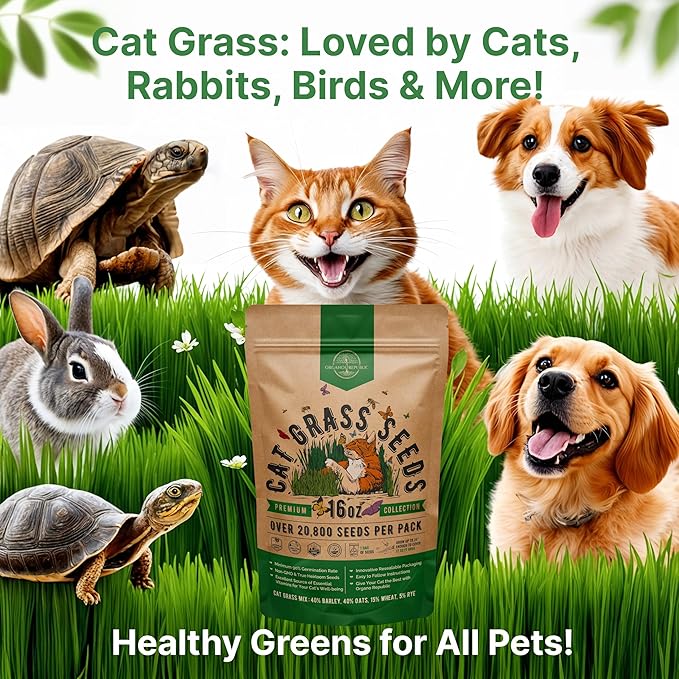 Organo Republic Cat Grass Seeds Mix - 20,800 Non-GMO Heirloom Seeds for Cats & Pets, 16 oz Pack for Growing Fresh Barley, Oat, Rye & Wheat Grass Seeds for Planting, Indoor Plants, Hairball Remedy