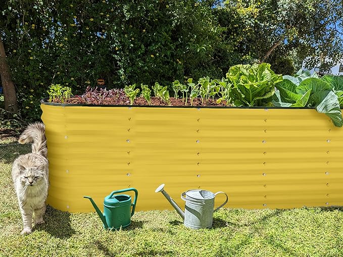 Galvanized Raised Garden Beds Outdoor // 6×2×2 ft Planter Raised Beds for Gardening, Vegetables, Flowers // Large Metal Garden Box (Yellow) // Patented Tool-Free Design