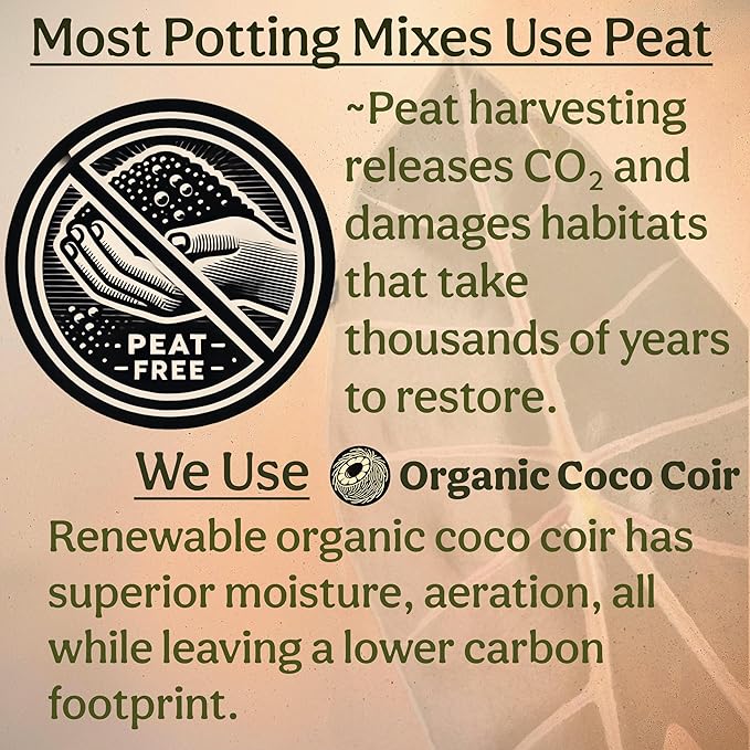 Craft Aroid Potting Mix- Elite Alocasia, Philodendron, Monstera Soil Mix, Chunky, Well Draining Potting Soil for Indoor Plants, All Tropical Plants & Houseplants, Synthetic & Peat Free 1QT