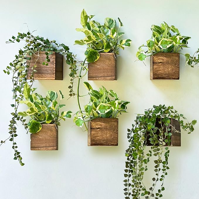 LaLaGreen Wood Planter Boxes for Indoor Plants (6 Pack, 4x4 Inch) Small Square Wall Mounted Planters Flower Pot, Herb Wooden Box Hanging Plant Holder Outdoor Balcony Vertical Garden Modern Home Decor