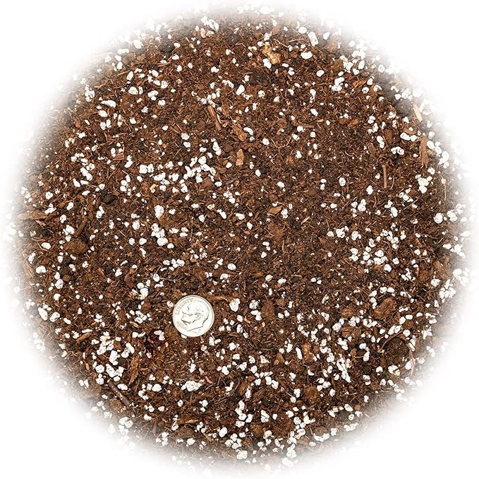 House Plant and Tropical Plant Potting Soil - Re-Potting Soil for All Types of Indoor House Plants - 5 Quart Bag