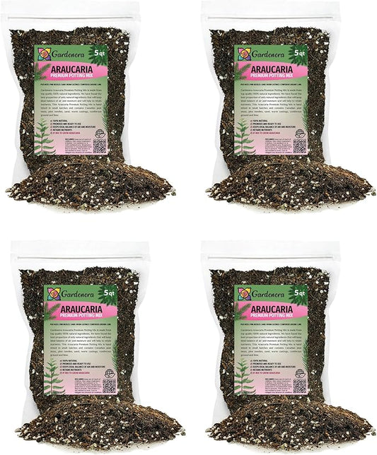 Premium Araucaria Potting Soil Mix - Perfect Balance of Nutrients, Drainage, and Aeration for Healthy Araucaria Trees - 20 Quart