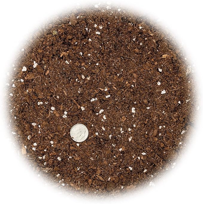 Money Tree Potting Soil - 10 Quart - Soil Mix for Planting or Repotting Guiana Chestnut, Soil Blended to Properly Grow Money Tree Plants (2 Bags of 5 Quart)