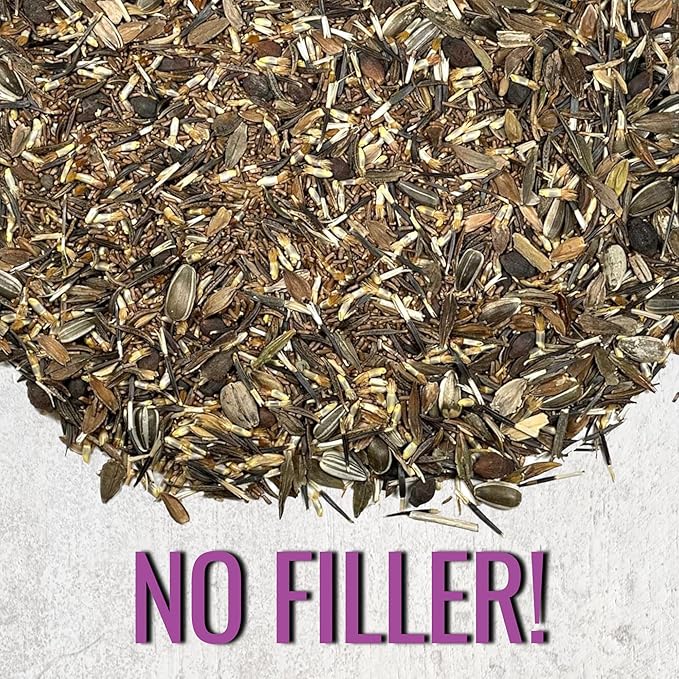 Seed Needs Garden Flower Seeds Large Blooms Mix Hummingbird and Butterfly | 10 Packs (1 Ounce Each) No Filler 7 Varieties Open Pollinated | Resealable Package Live Wild Flower Seed | Bulk