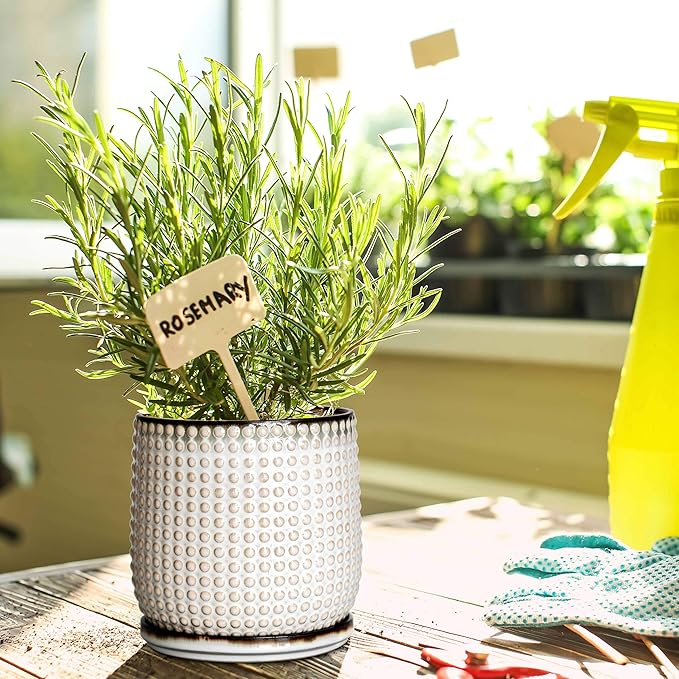 D'vine Dev 6 Inch Ceramic Beaded Stoneware Planter Pot - Flower Pot with Drainage Holes and Saucers for Indoor Succulent Plants or Flowers, Smoked White, 27-C-X-1