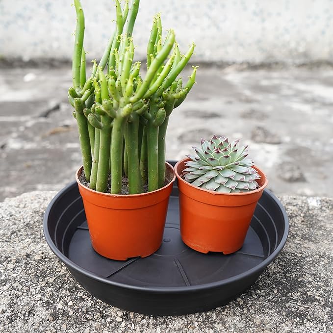 4 Packs 8 Inches Plant Saucer Drip Trays, Round Plastic Plant Pot Saucers Flower Pot Tray for Indoor Outdoor