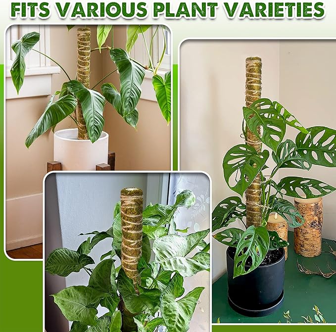DUSPRO Natural Stackable Moss Pole for Plants Monstera Potted Plant Stakes for Indoor Plants Extendable Plant Pole Moss Sticks for Plants Climbing Vine Supporting Monstera Trellis 4Pcs 22''