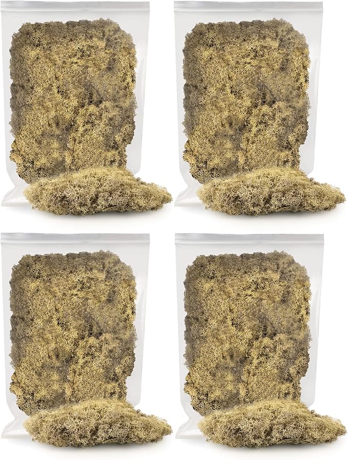 Premium Preserved Reindeer Moss for Potted Plants, Terrariums, Fairy Gardens, Arts and Crafts or Floral Decor Design in Natural (20 Quart)