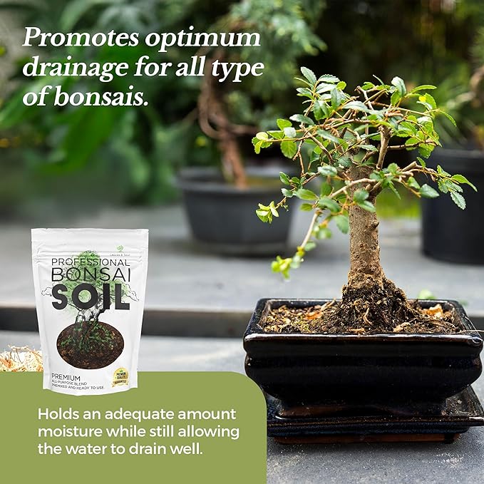 Large Bonsai Soil Premium All Purpose Blend | Pre-Mixed Ready to Use for Plant Support and Fast Drainage | Lava, Limestone Pearock, Calcined Clay and Pinebark | Extra Large 8.2 Quarts | Made in USA