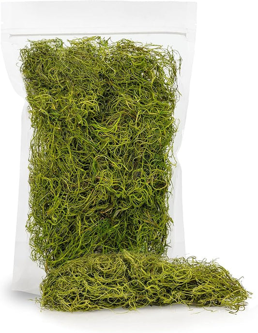 Premium Spanish Moss in Spring Green| Natural Preserved - Great Ground Cover - Filler for Potted Plants - by GARDENERA - 1 Quart Bag