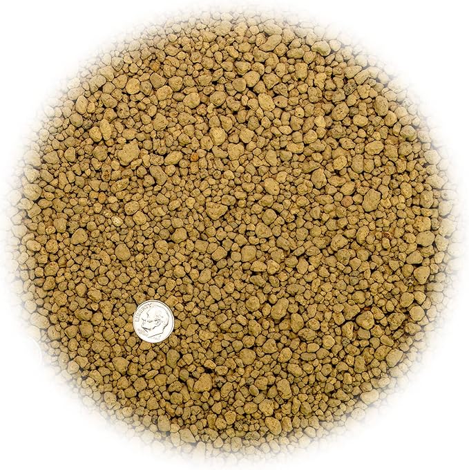 Japanese Hyuga Pumice - Premium Additive for Orchid & Bonsai Tree Soil |Professional Imported Sifted and Ready to Use (1 Quart Bag)