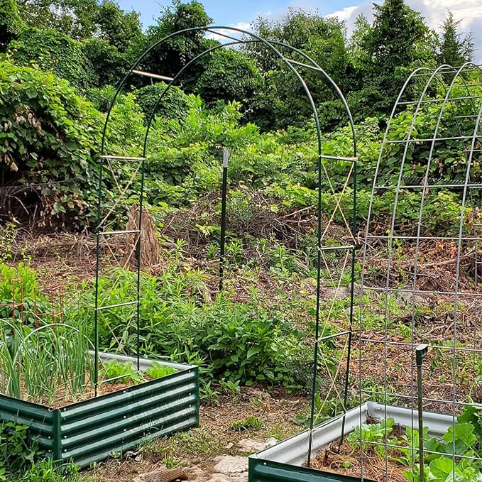 100% Metal Garden Arch Trellis for Climbing Plants Outdoor, Assemble Freely 2 Sizes,Pumpkin Archway Outdoor Garden Arbors and Arches for Wedding Party Decoration