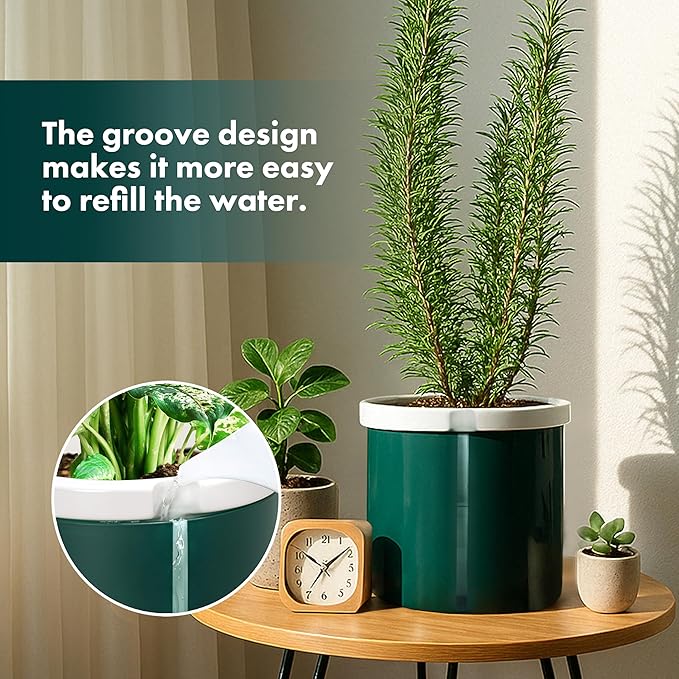 D'vine Dev 8 Inch Design Self Watering Planter for Indoor Plants, White Terracotta Pot with Teal Cylinder Glass Cup, 37-X-C-5