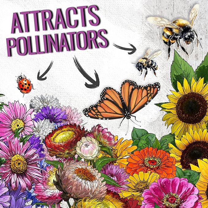 Seed Needs Garden Flower Seeds Large Blooms Mix Hummingbird and Butterfly | 10 Packs (1 Ounce Each) No Filler 7 Varieties Open Pollinated | Resealable Package Live Wild Flower Seed | Bulk