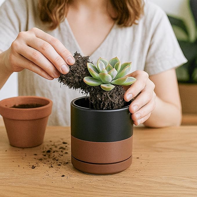 D'vine Dev Set of 4 Small Ceramic Plant Pots, 3.5 Inch Succulent Planter Pot for Plants with Drainage Hole and Saucer, Black/Speckled Tan, 94-X-A-7