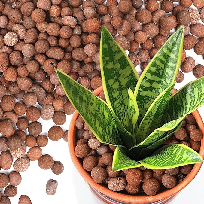 T4U Leca Clay Pebbles for Plants, 2 LBS 10-20 mm Clay Balls for Indoor Plants, Natural Clay Pebbles for Orchid Potting Mix, Hydroponic, Leca Pots, Plant Drainage, Garden Soil