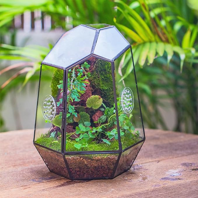 NCYP Closed Geometric Glass Enclosure with Front Opening Door & 2 Vent Holes for Insects, Succulent, Cacti - 7.9"x6.9"x9.8" Black Irregular Terrarium Planter - Home Garden Tabletop Decor (No Plants)