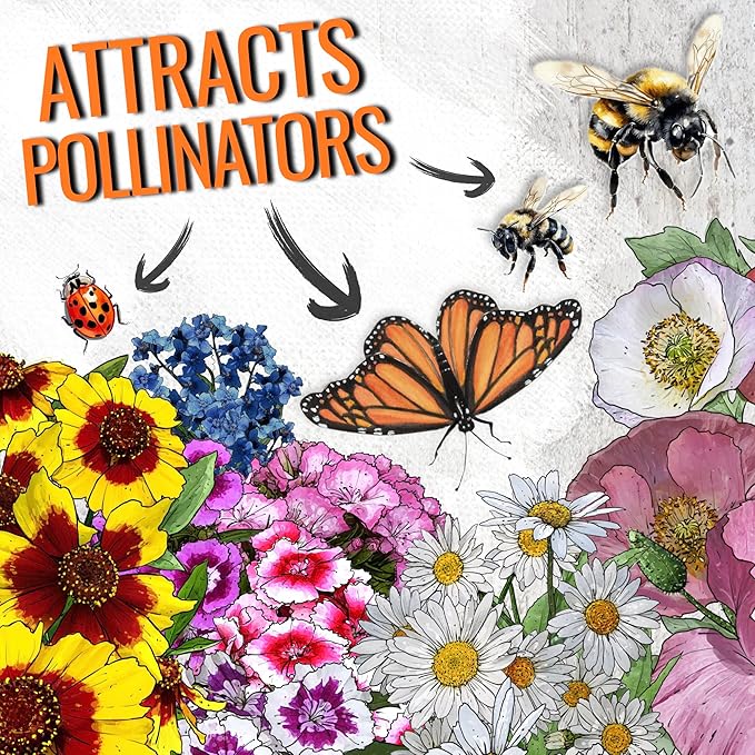 Seed Needs Partial Shade Wildflower Seed Mix for Planting | 5 Packs (1 Ounce Each) 14+ Varieties Open Pollinated Annual & Perennial Species | Flower Seeds Shade Tolerant | Bulk