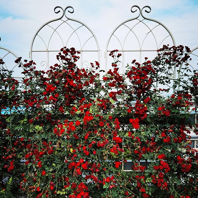 Metal Garden Trellis Rustproof Trellis for Climbing Plants Outdoor Flower Support Butterfly Deco (Cream White-2 Pack, 71"x19.7")