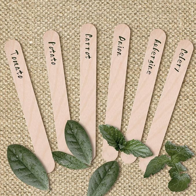 Whaline 200Pcs Wooden Plant Labels Waterproof Round Head Plant Sign Tags Birch Wood Plant Label Eco-Friendly Garden Markers for Seed Potted Herbs Flowers Vegetables with 2 Gel Pen, 15 X 1.7 CM