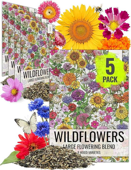 Seed Needs Garden Flower Seeds Large Blooms Mix Hummingbird and Butterfly | 5 Packs (1 Ounce Each) No Filler 7 Varieties Open Pollinated | Resealable Package Live Wild Flower Seed | Bulk
