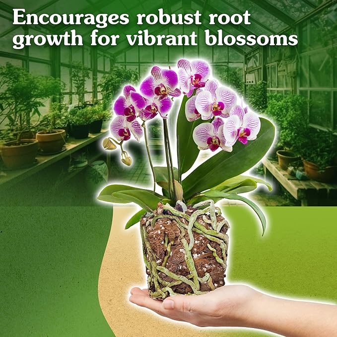 Orchid Potting Mix for Repotting - Pine Bark Mulch, Perlite Stone & Coco Fiber Natural Ingredients - Orchid Bark Potting Mix, Orchid Repotting Kit Drainage Indoor Potting Medium 2QT (2 Quarts)