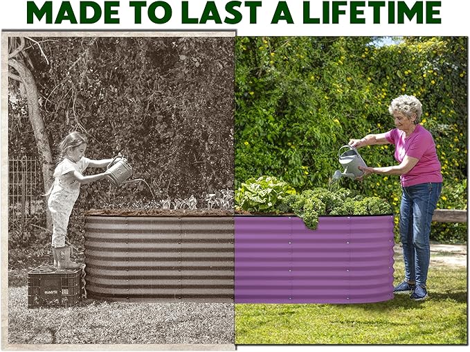 Galvanized Raised Garden Beds Outdoor // 6×2×2 ft Planter Raised Beds for Gardening, Vegetables, Flowers // Large Metal Garden Box (Purple) // Patented Tool-Free Design