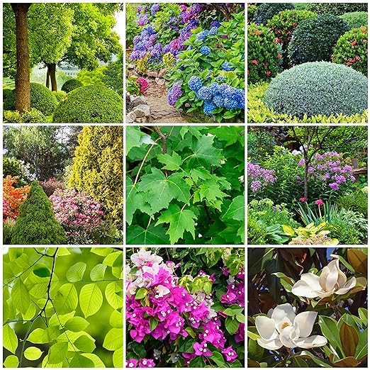 The Old Farmer's Almanac Tree & Shrub Fertilizer Spikes (Box of 12 Spikes - 3 Lbs)