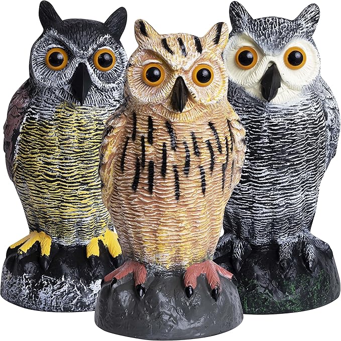 Galashield Owl Decoy | Plastic Fake Owls | Owl Statue for Garden & Outdoors [Set of 3]