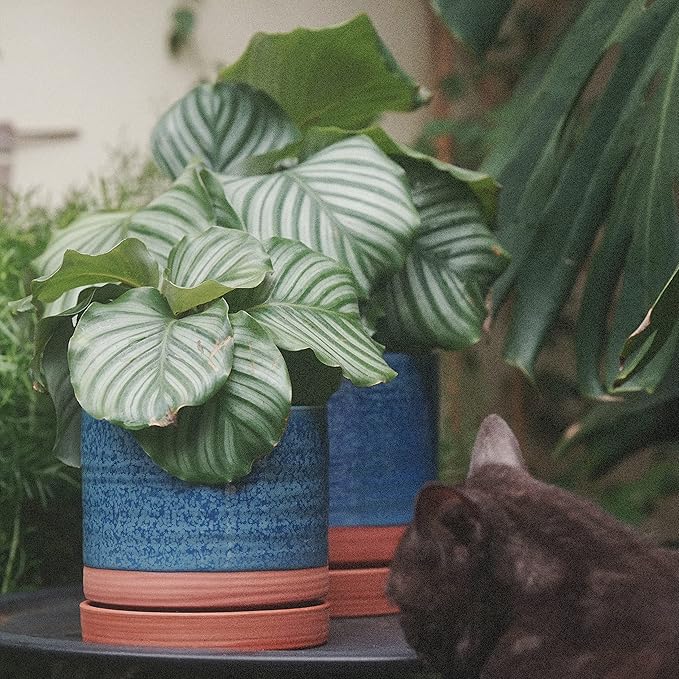 6 + 8 Inch Plant Pots, Ceramic Planter Pot with Drainage Hole & Saucer, Indoor/Outdoor Cylinder Round Planter Pot, Aqua Blue & Terracotta