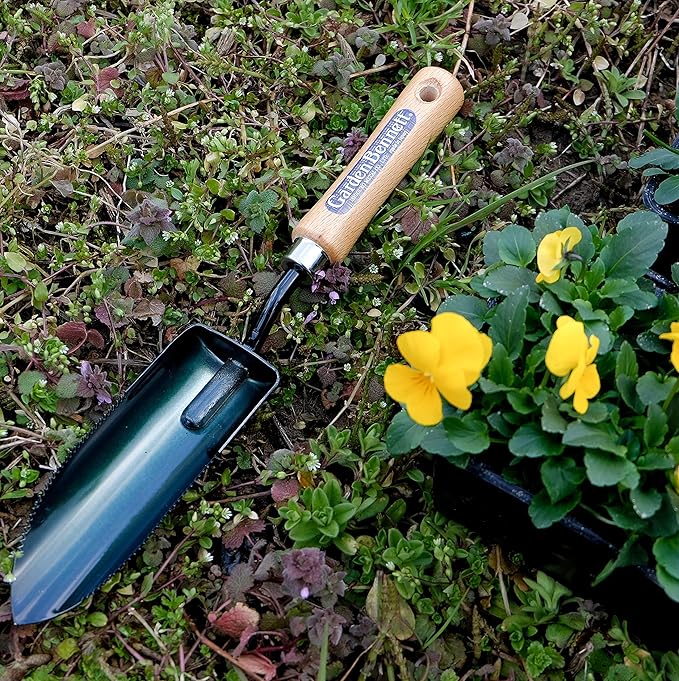 Garden Helper Narrow Garden Trowel Hand Tool, Garden Shovel Serrated Edge for Planting and Transplanting, Heavy Duty Japanese Steel Blade, Wood Handle, Made in Japan